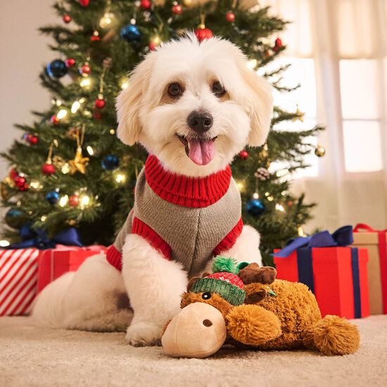 Pull en tricot HoHo pour chiens Image NaN