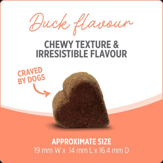 Suppl&eacute;ment probiotique + pour chiens,  400 g Image NaN