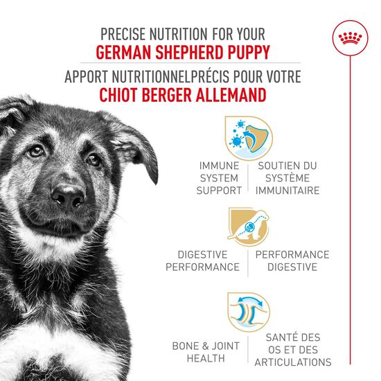 Nourriture s&egrave;che pour chiots de race Berger Allemand Image NaN