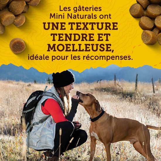 Mini Naturals Salmon Tender BitesTreats for Dogs, 454 g Image NaN