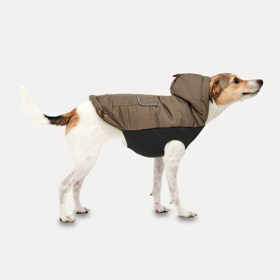Hooded Full Body Snowsuit for Dogs Image NaN