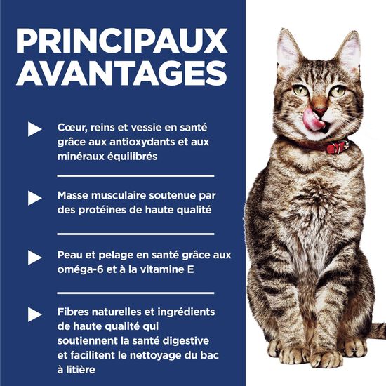 Nourriture sèche « Indoor » au poulet pour chats de 7 ans et +, 7,03 kg Image NaN