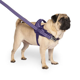 Redirect Harness for Dogs