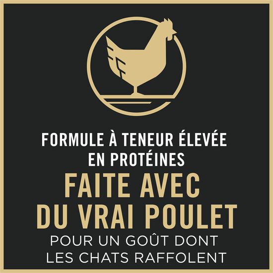 Nourriture s&egrave;che Complete Essentials Adulte 7+ formule poulet et riz pour chats, 6,35 kg Image NaN
