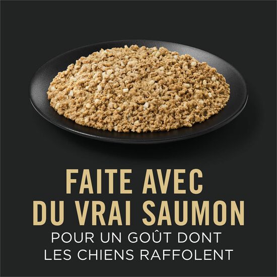 Entr&eacute;e de saumon et riz Classique D&eacute;veloppement peaux et estomac sensibles pour chiots, 368 g Image NaN
