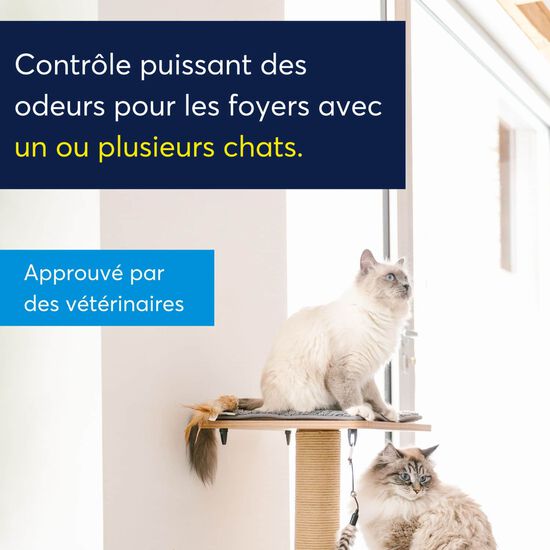 Liti&egrave;re agglom&eacute;rante Image NaN