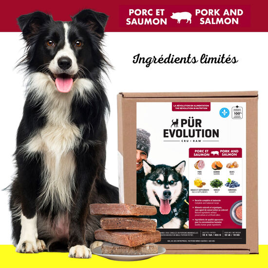 Nourriture à base de viande crue recette porc et saumon pour chiens Image NaN