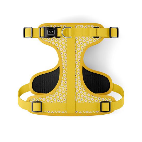 Harnais réglable « Florence » pour chien Image NaN