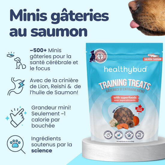 Mini Training Salmon Treats for Dogs Image NaN