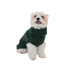 Chilly Dog Sweater, green