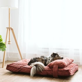 Chic Rose Dual Comfort Bed