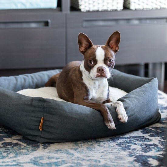 Cozy Bed for Pets Image NaN