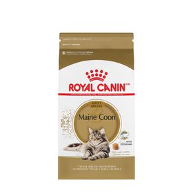 Food for Maine Coon adult cats