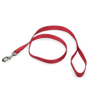 Red single-ply nylon leash