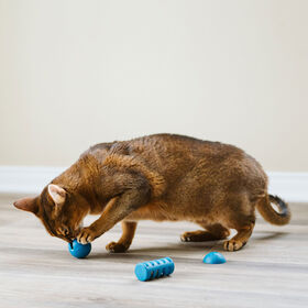 OBEE! Toy Trio for Cats