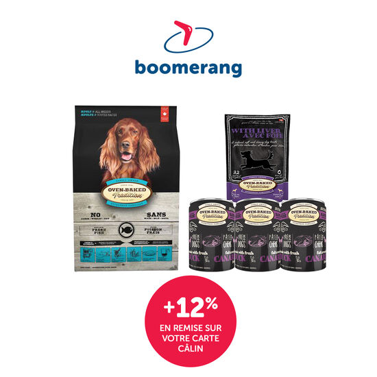 Forfait Oven-Baked petit Câlin pour chien Image NaN