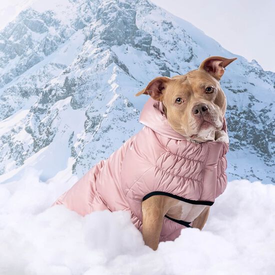 Elasto-Fit&reg; Lunar Glow Parka for Dogs Image NaN