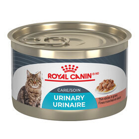 Fines tranches en sauce en nutrition soin urinaires pour chats