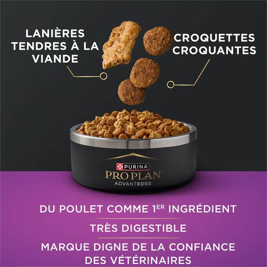 Nourriture s&egrave;che AdvantEDGE Soutien+ s&eacute;nior bouch&eacute;es &agrave; la viande au poulet et riz pour chiens, 10 kg Image NaN