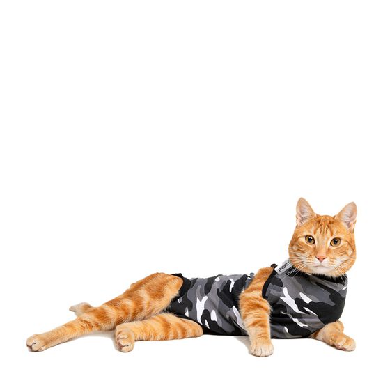 Recovery Suit for animals Image NaN