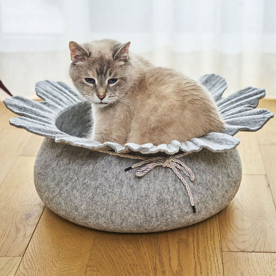 Lit de feutre en fleur Image NaN