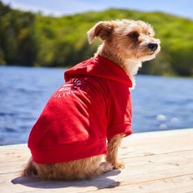 Light French Terry Hoodie for Dogs