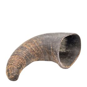Buffalo horn dog chew