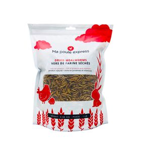 Natural dry mealworms