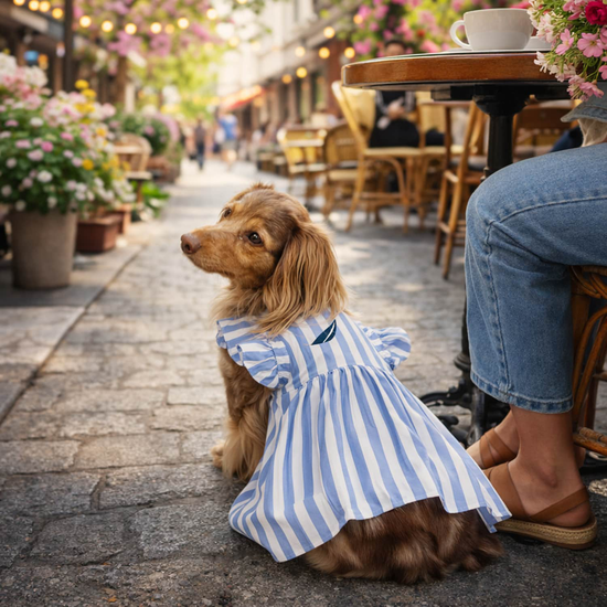 Striped Poplin Dress for Dogs Image NaN