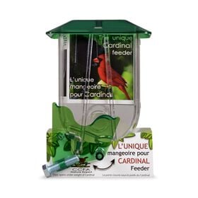 Unique cardinal feeder
