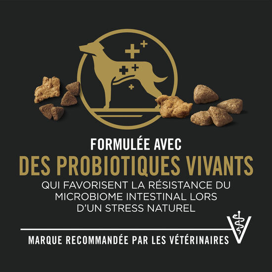 Complete Essentials Shredded Blend Chicken & Rice Formula for Adult Dogs, 21.3 kg Image NaN