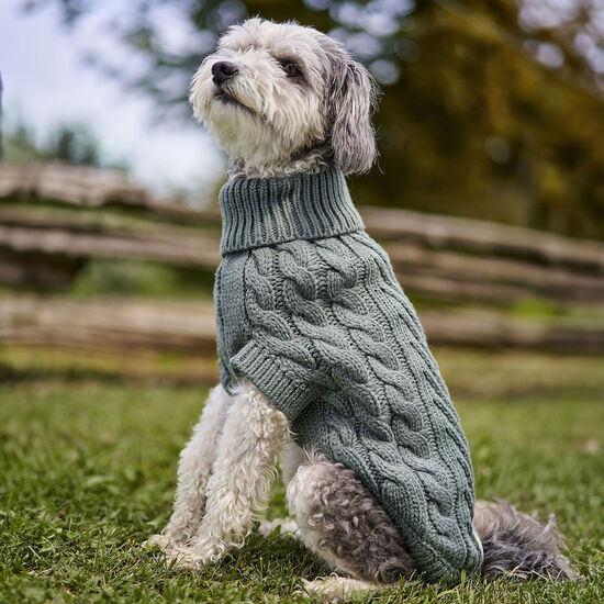 Pull chalet à col roulé en grosse maille torsadée pour chiens Image NaN