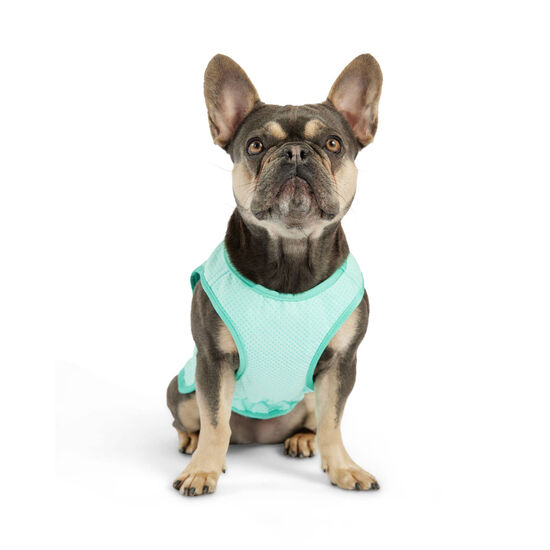 Ice Vest for Dogs Image NaN