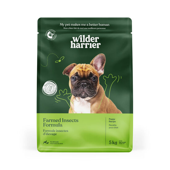 Dry puppy food, farmed insects recipe Image NaN