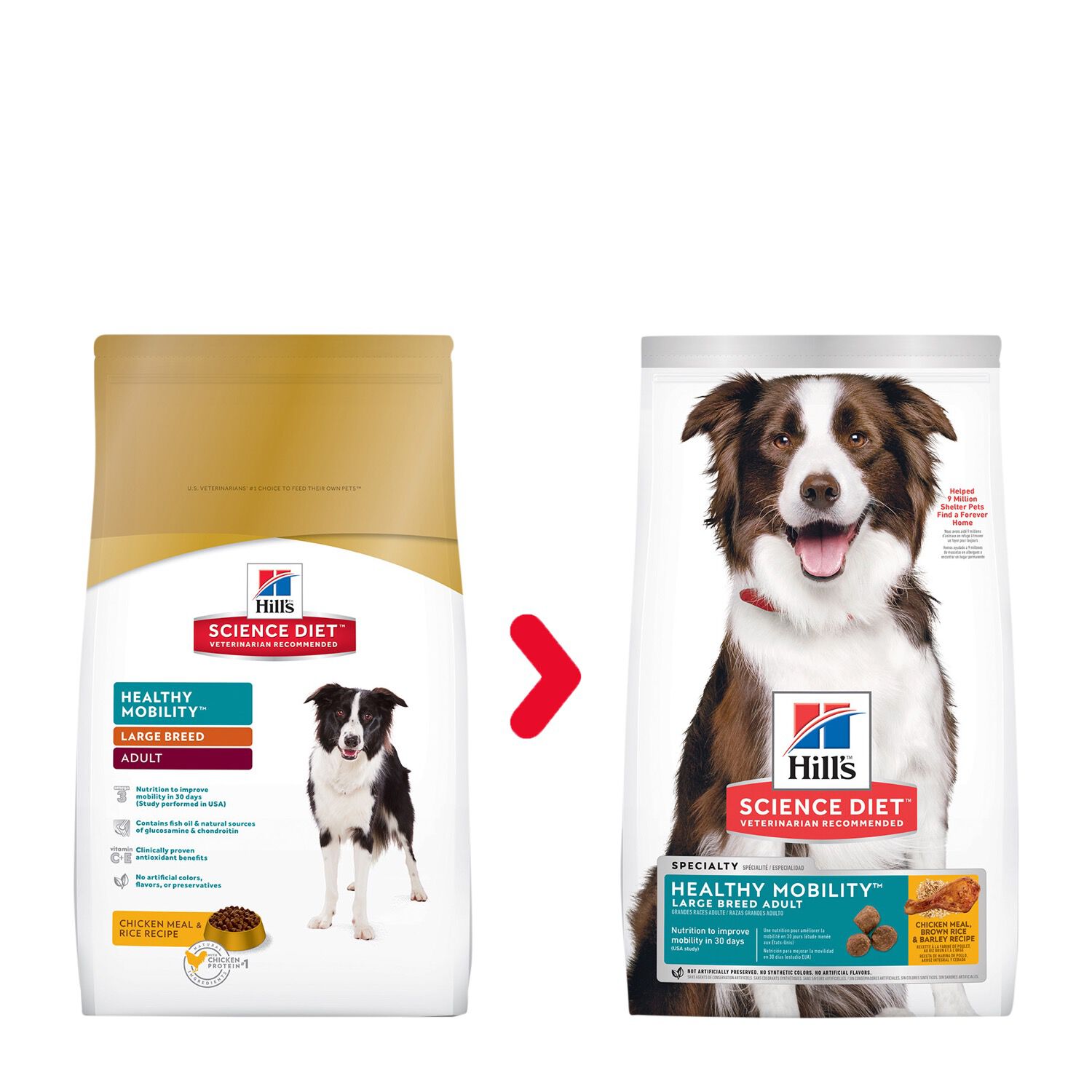 healthy mobility large breed