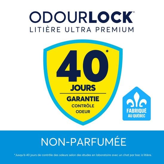 Liti&egrave;re agglom&eacute;rante Image NaN