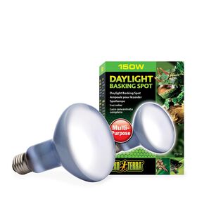 Ampoule à lumière du jour pour lézarder R30 150W
