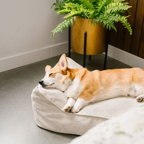 Lit thérapet tissé Image NaN