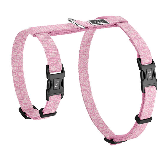 Harnais réglable pour chats Image NaN