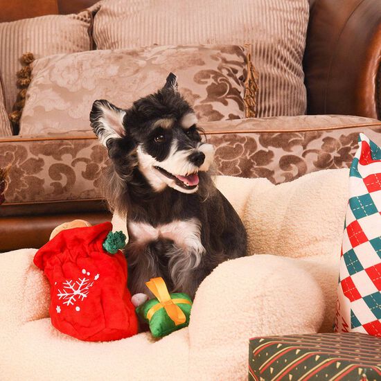 Jouet en peluche couineur sac-cadeau pour chiens Image 5.0