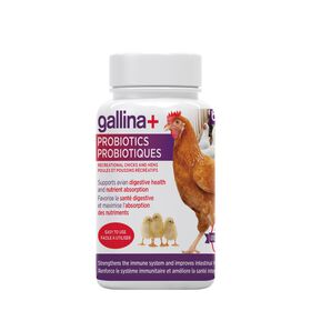 Gallina+ probiotics for residential chicks and hens