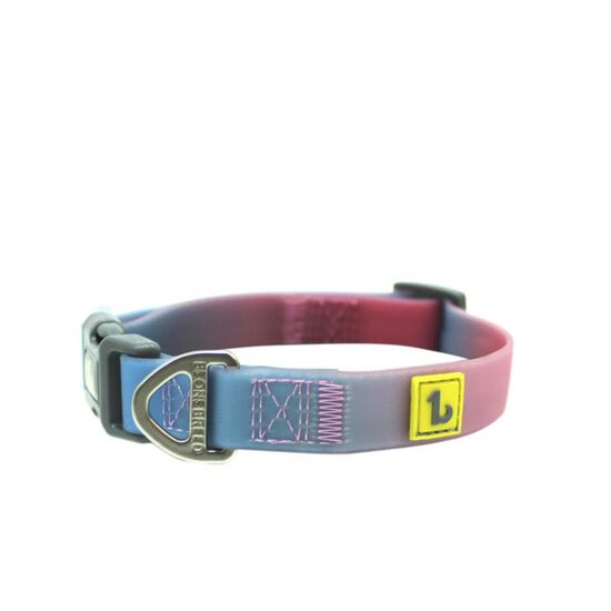 Blue and Pink Gradiant Silicone Dog Collar Image NaN