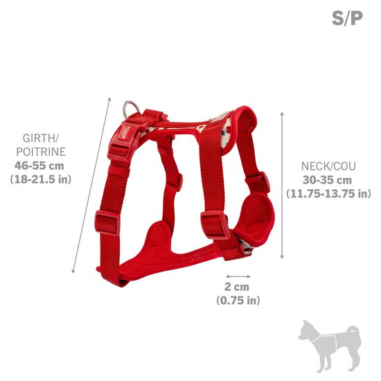 Neoprene Harness for Dogs, Cherries Image 2.0