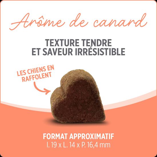 Suppl&eacute;ment probiotique + pour chiens,  400 g Image NaN