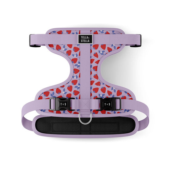 Strawberry Field Adjustable Dog Harness Image NaN