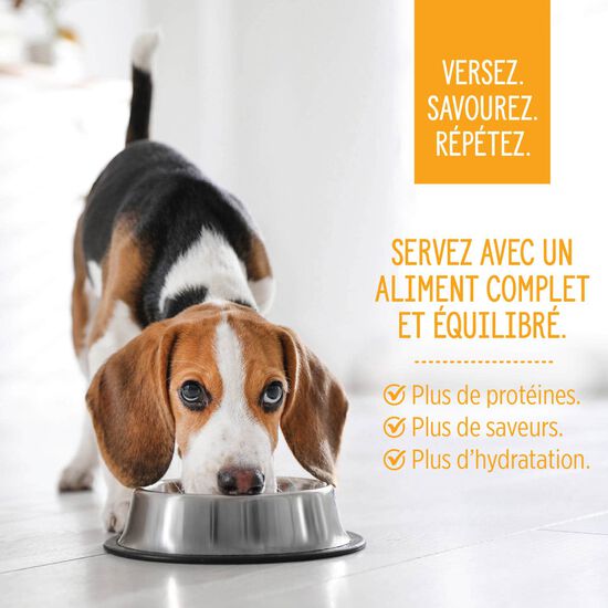 Garniture Style maison bol de poulet bouddha pour chiens, 152 g Image NaN