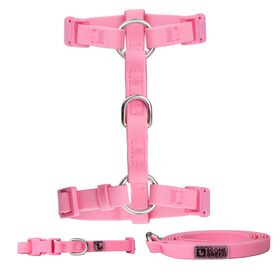 Ensemble de promenade en silicone pour petits chiens, Velour rose