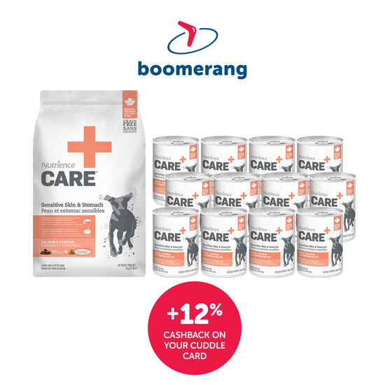 Nutrience Care Big Cuddle Bundle for Dogs Image NaN