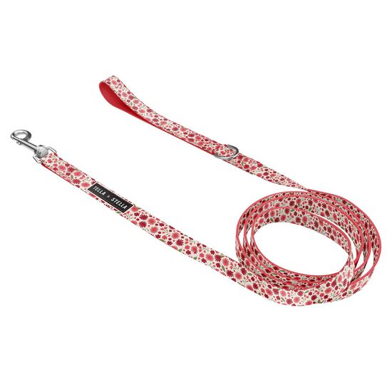 Dog Leash Image NaN