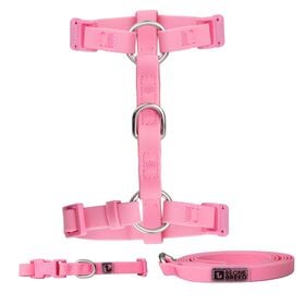 Ensemble de promenade en silicone pour petits chiens, Velour rose